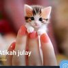 user6261209468379