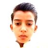 333shameer1