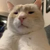 winrytl7
