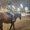 horselove1112