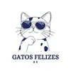 gatosfelizesbr