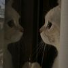nur_b56