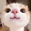 elinaqjdoh6