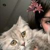 sh_ali111