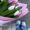 tulipflower312
