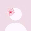 bloomy__soul