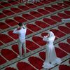 farha.farha315