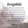 bongekile.nxumalo00