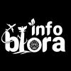 infoblora.id