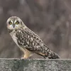 paddytakesphotos