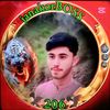 m_hamza143