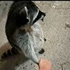 miketheotter05