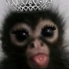 desiree_133