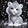user7527008113816