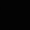 ramn_313