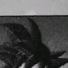el_bot282