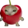 katherincio0