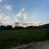 wewawe_445