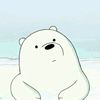 bear79681