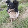 deepa.thapa00