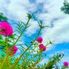 naeem.hassan998