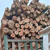 khong.minh327