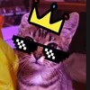 heksiqxd