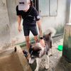 hein.htet.myat44