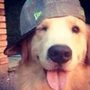 araymo_arayko