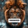 madar.bool