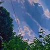 xanmi_shkaoo04