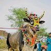 mushadidamalang