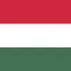 new_hungarian_mapper