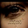 malik.mehran.kashm