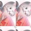 poppy4554