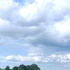 nahim_ali12