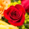 userthao123