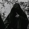 user79008848013