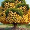 kamlesh.singh32