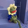 cam607209