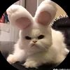 caduydat_rbl.ff