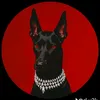 manueloficial45