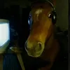 chico.bomfim4