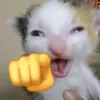 grownfrccr