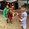 wiphop.boriphan