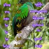 user4101277579744