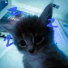dishka12_03