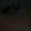dianadiamond243