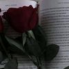 asmaa23623