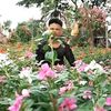 billal.munshi27